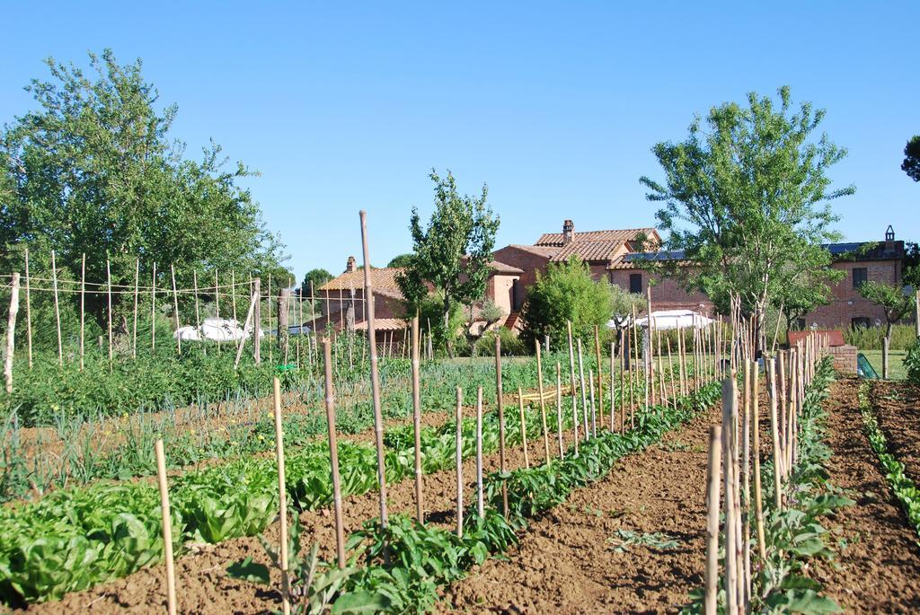 Agriturismo Le Torri Di Porsenna Petrignano Del Lago Exterior photo